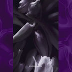 AFNAN 9PM PURPLE EDP 100ML